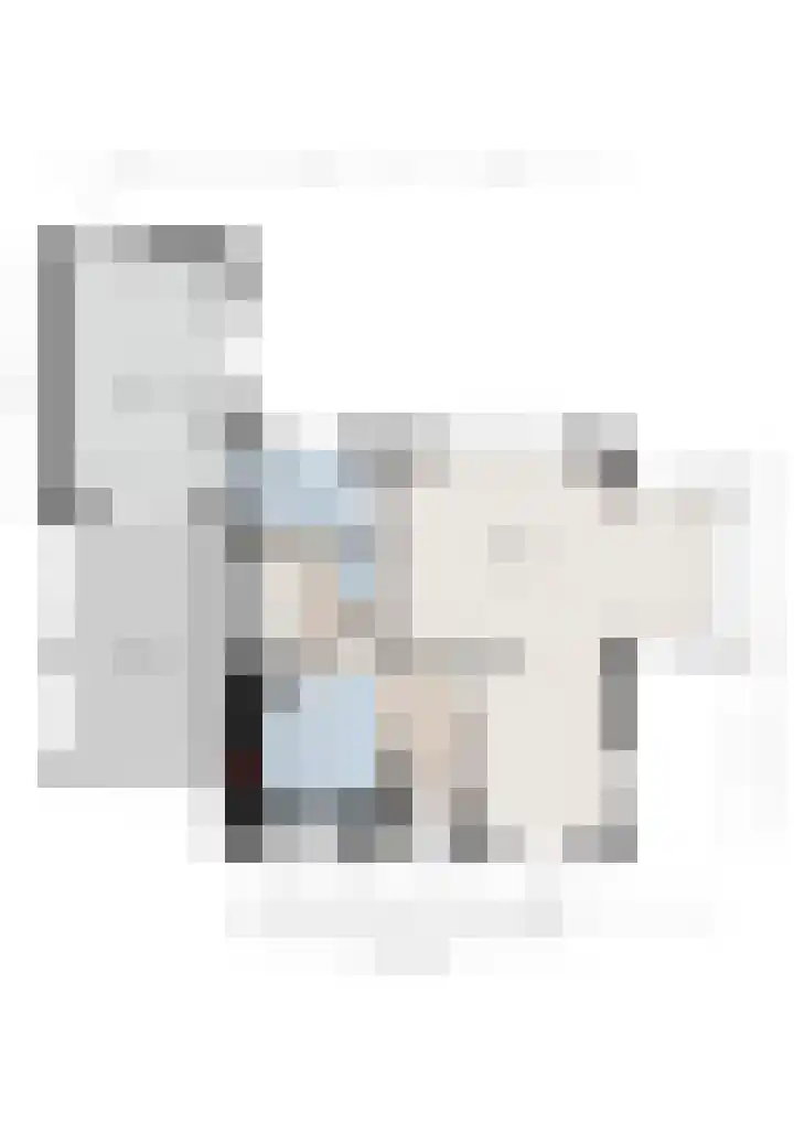 Hondsroos 21 Dedemsvaart thumbnail 60