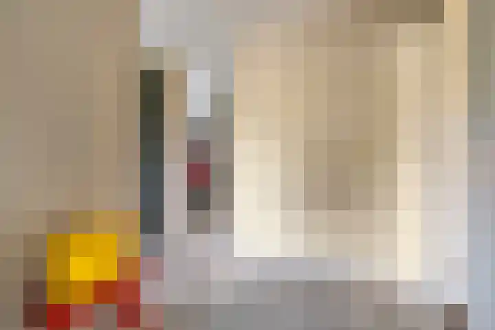 Hondsroos 21 Dedemsvaart thumbnail 7