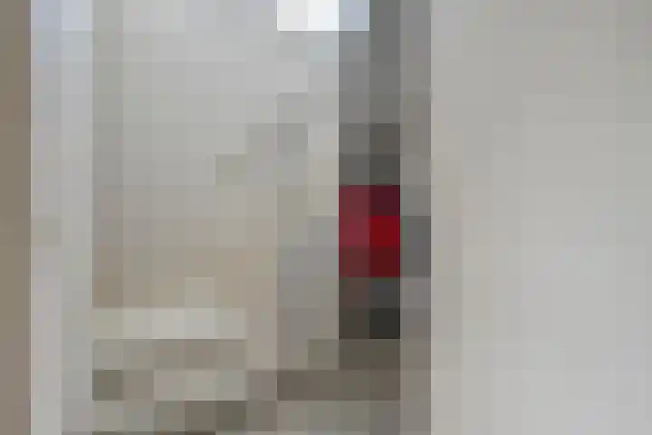 Hondsroos 21 Dedemsvaart thumbnail 8