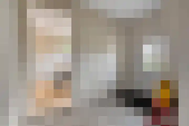 Hondsroos 21 Dedemsvaart thumbnail 9