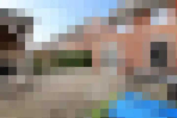 Hondsrooswal 13 Emmen thumbnail 32