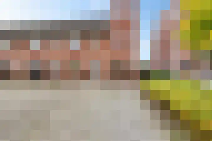 Hondsrooswal 13 Emmen thumbnail 36