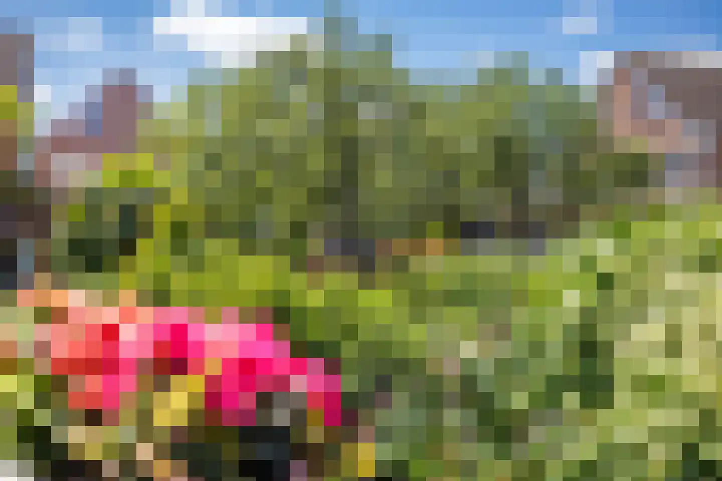 Hondsrug 129 Utrecht thumbnail 17