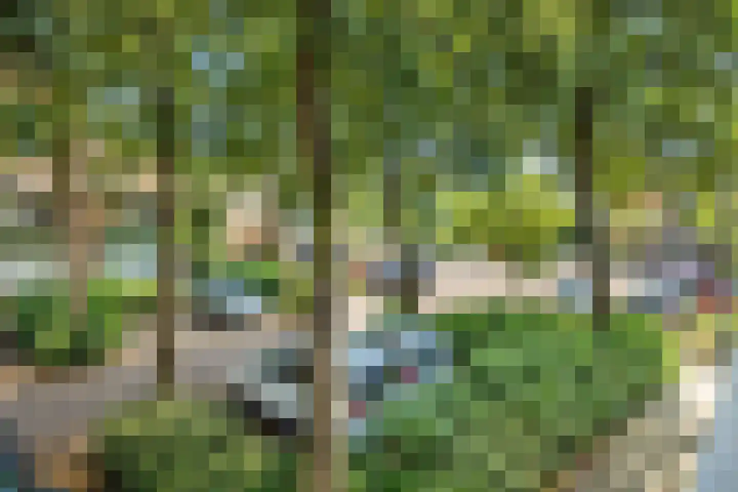 Hondsrug 129 Utrecht thumbnail 6
