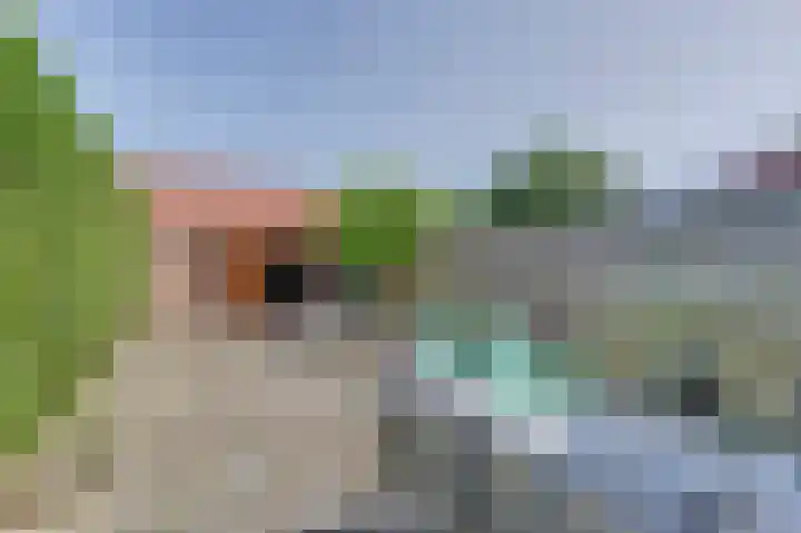 Hondsrug 206 Dronten thumbnail 28