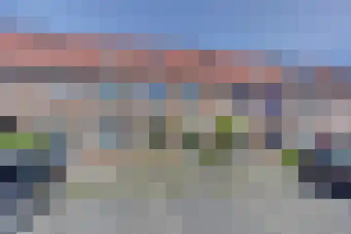 Hondsrug 206 Dronten thumbnail 30