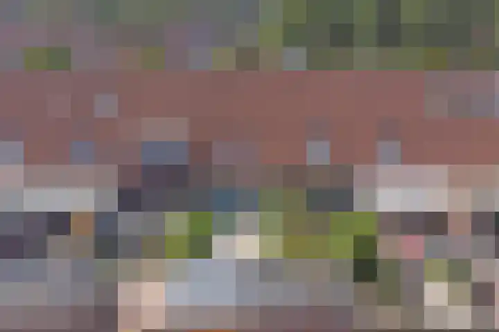 Hondsrug 206 Dronten thumbnail 32