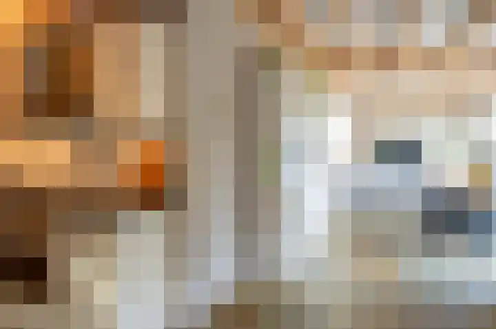 Hondsrug 206 Dronten thumbnail 43