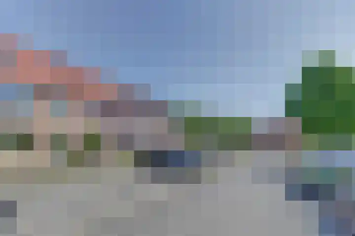 Hondsrug 206 Dronten thumbnail 5