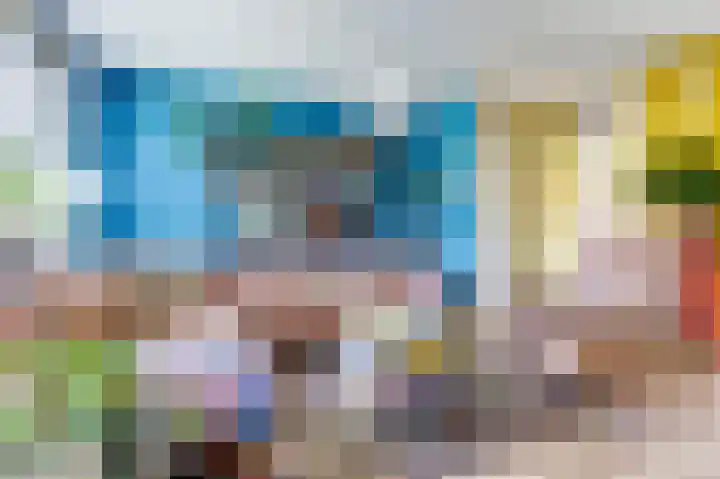 Hondsrug 206 Dronten thumbnail 8