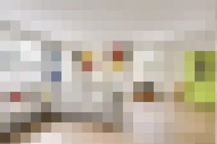 Hondsrug 207 Utrecht thumbnail 10