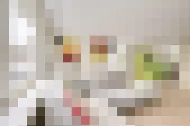 Hondsrug 207 Utrecht thumbnail 12