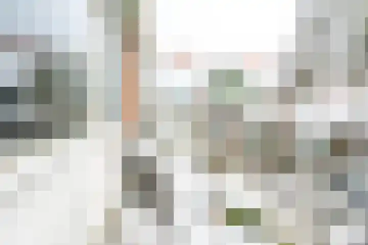 Hondsrug 207 Utrecht thumbnail 18