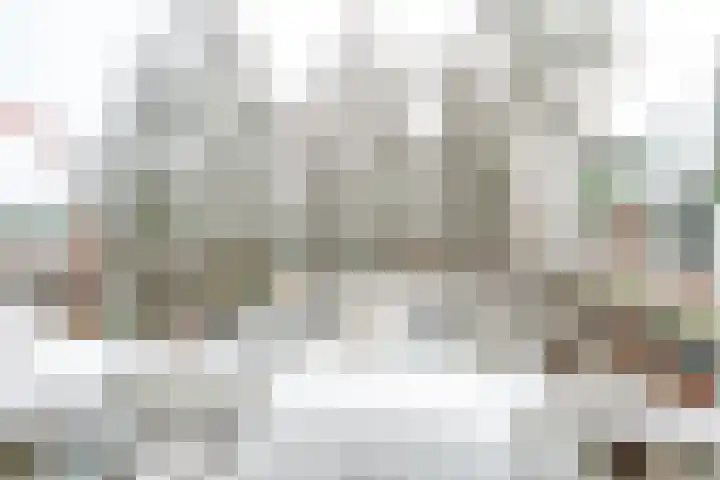 Hondsrug 207 Utrecht thumbnail 19