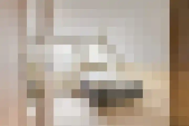 Hondsrug 207 Utrecht thumbnail 20