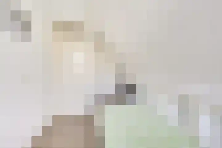 Hondsrug 207 Utrecht thumbnail 27