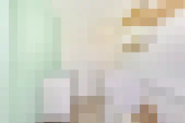 Hondsrug 207 Utrecht thumbnail 30