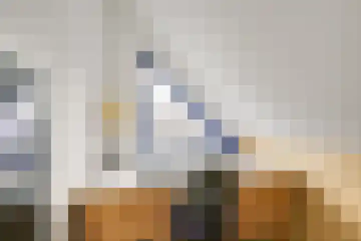 Hondsrug 207 Utrecht thumbnail 33