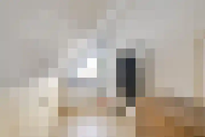 Hondsrug 207 Utrecht thumbnail 35