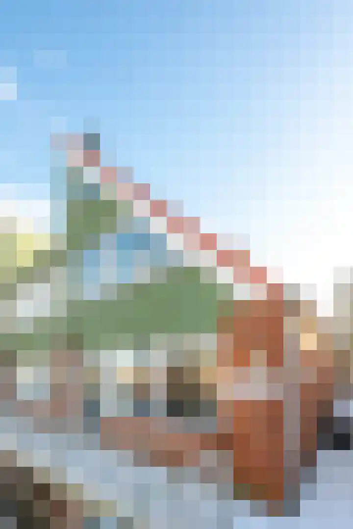 Hondsrug 207 Utrecht thumbnail 37