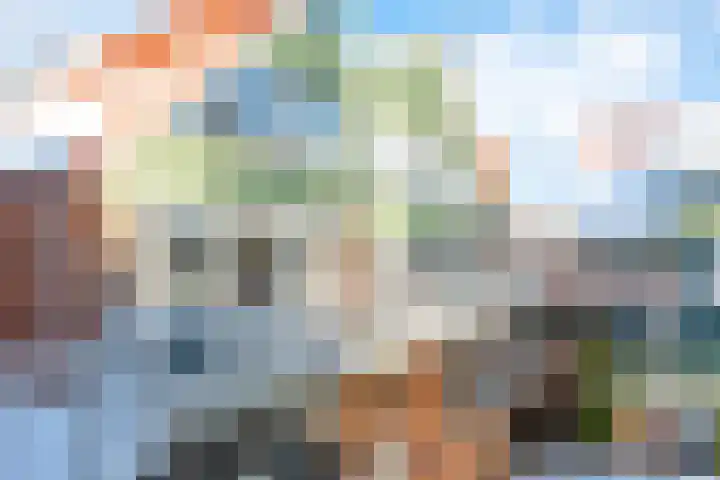 Hondsrug 207 Utrecht thumbnail 39