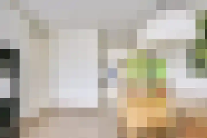 Hondsrug 207 Utrecht thumbnail 4
