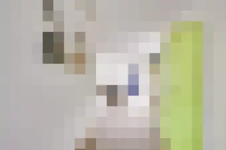 Hondsrug 207 Utrecht thumbnail 6
