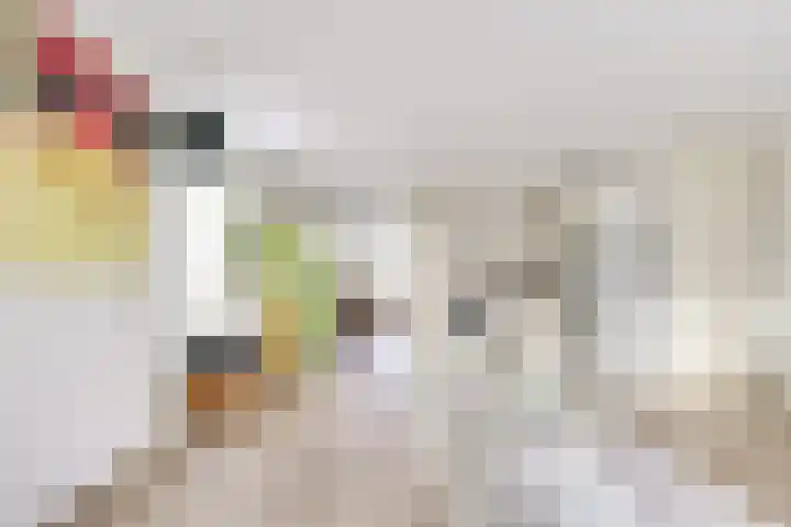 Hondsrug 207 Utrecht thumbnail 9
