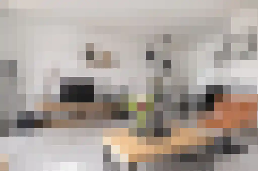 Hondsrug 238 Dronten thumbnail 4
