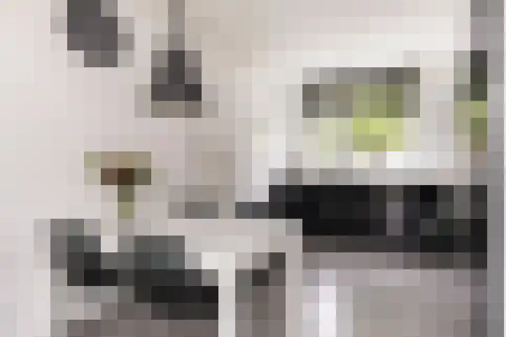 Hondsrug 238 Dronten thumbnail 6