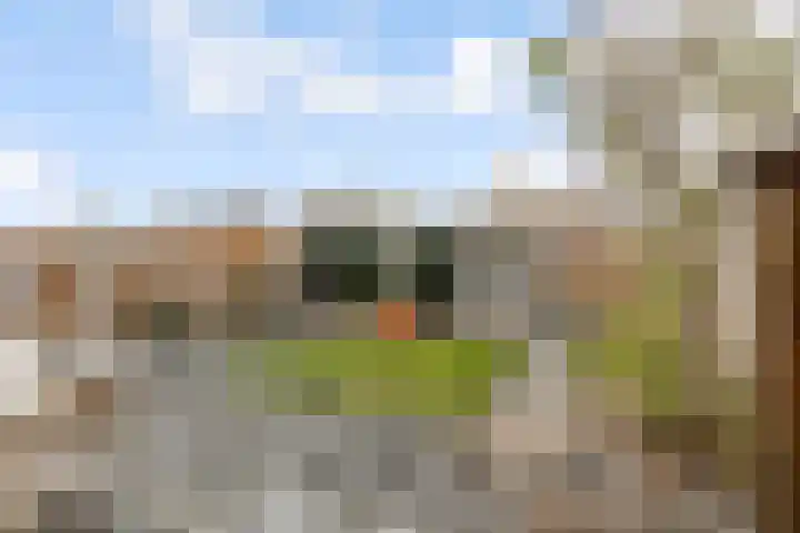 Hondsrug 25 Lelystad thumbnail 35