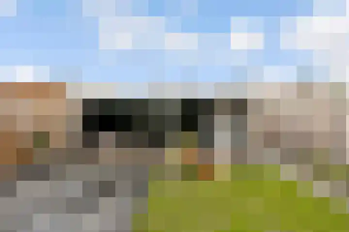 Hondsrug 25 Lelystad thumbnail 37