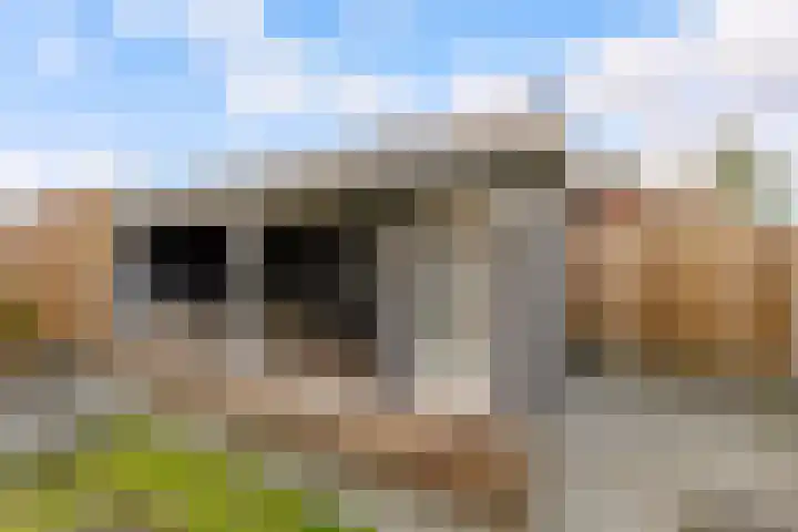 Hondsrug 25 Lelystad thumbnail 39
