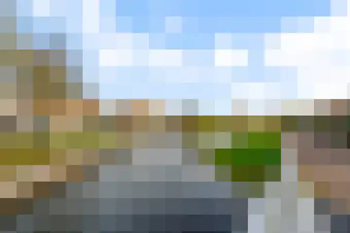 Hondsrug 25 Lelystad thumbnail 40