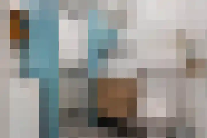 Hondsrug 253 Utrecht thumbnail 18