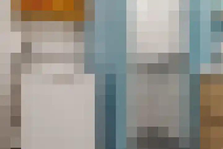 Hondsrug 253 Utrecht thumbnail 19