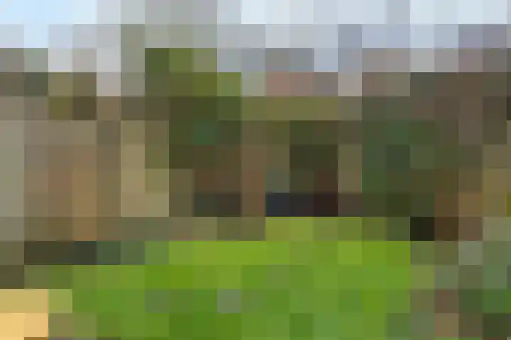Hondsrug 253 Utrecht thumbnail 23