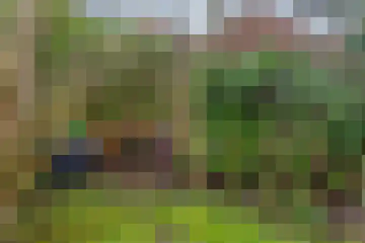 Hondsrug 253 Utrecht thumbnail 24