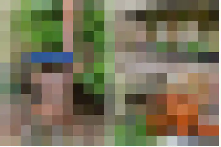Hondsrug 253 Utrecht thumbnail 25