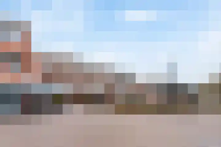 Hondsrug 253 Utrecht thumbnail 26