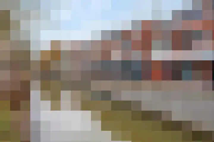 Hondsrug 253 Utrecht thumbnail 27