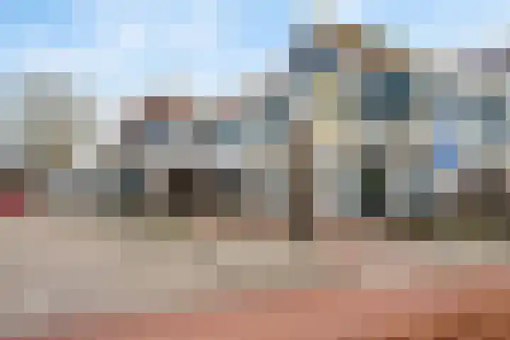 Hondsrug 253 Utrecht thumbnail 29