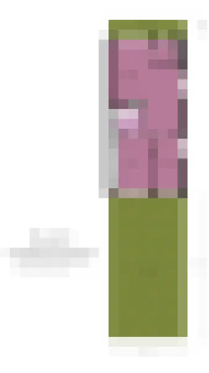 Hondsrug 253 Utrecht thumbnail 31