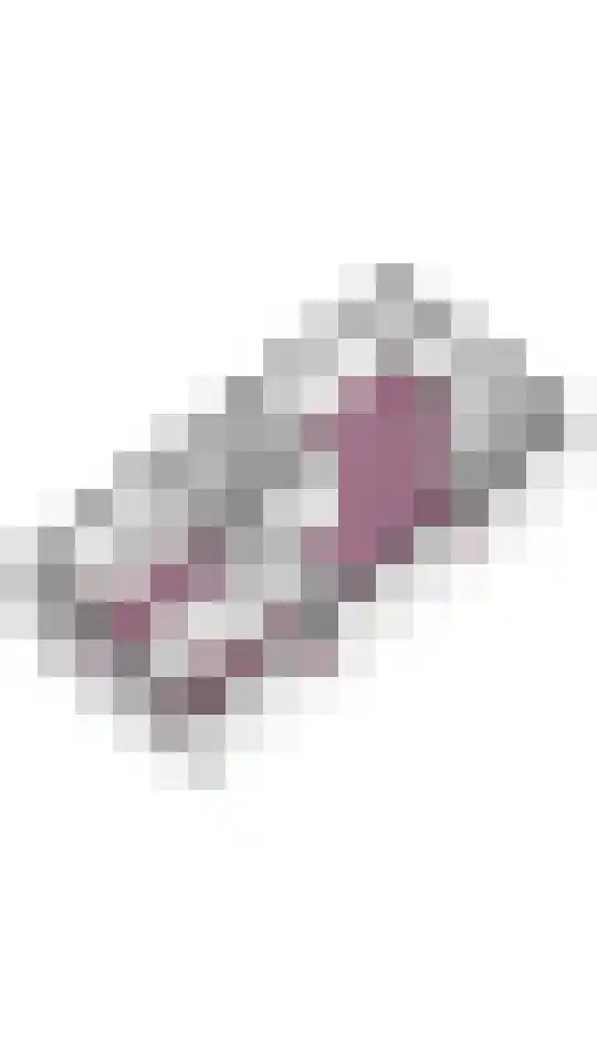Hondsrug 253 Utrecht thumbnail 32