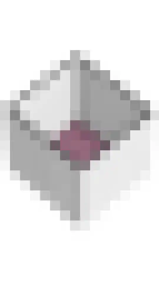 Hondsrug 253 Utrecht thumbnail 34