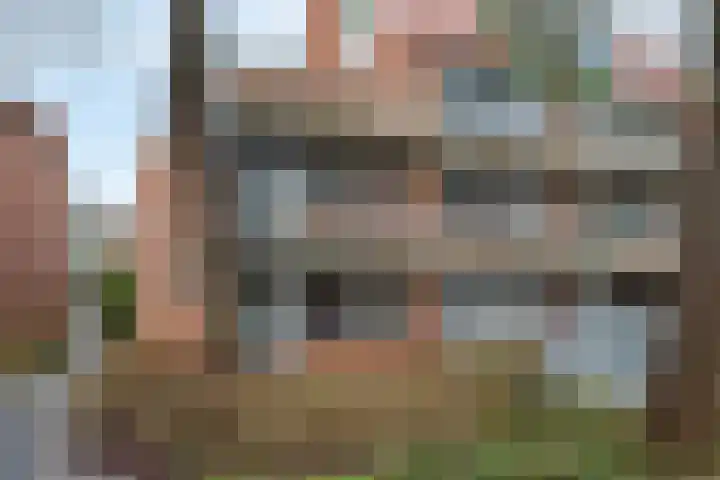 Hondsrug 253 Utrecht thumbnail 5