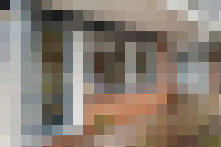 Hondsrug 253 Utrecht thumbnail 7