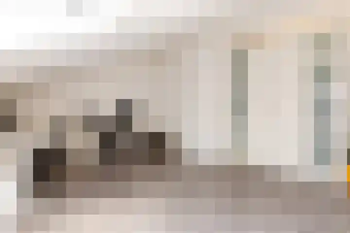 Hondsrug 27 Lelystad thumbnail 37