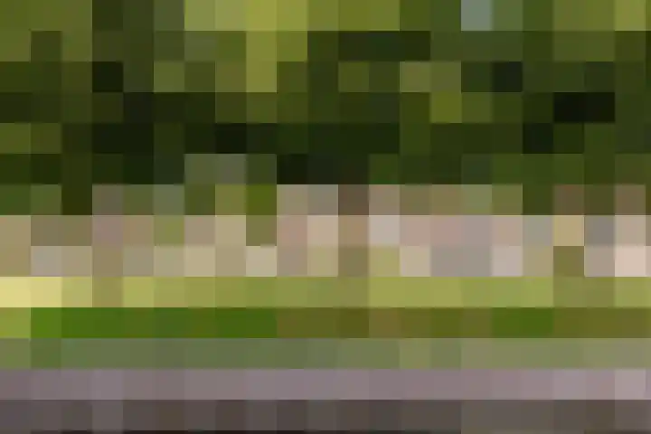 Hondsrug 27 Lelystad thumbnail 48