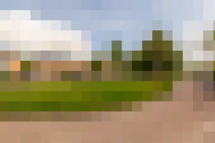Hondsrug 28 Lelystad thumbnail 32